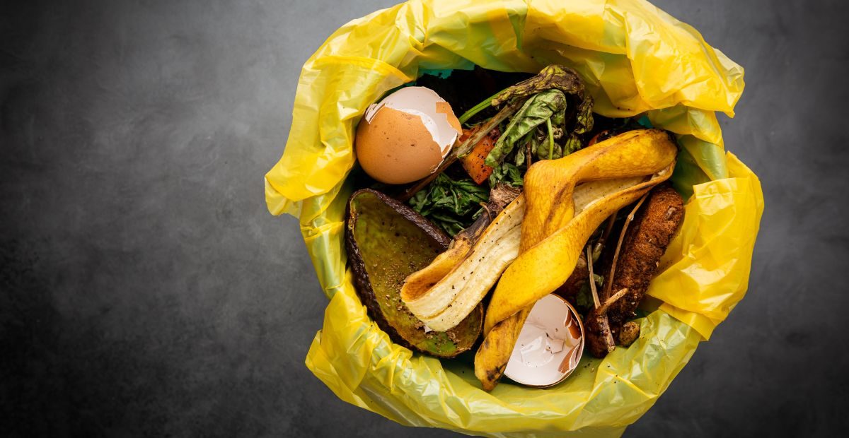 Here's why you need a waste disposal unit - The Wms